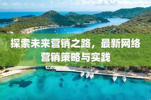 探索未来营销之路，最新网络营销策略与实践