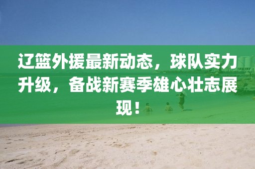 辽篮外援最新动态，球队实力升级，备战新赛季雄心壮志展现！