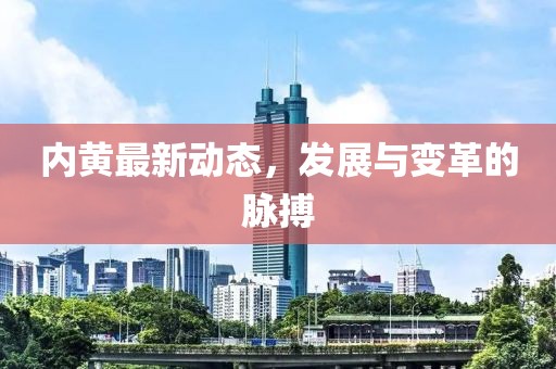 内黄最新动态，发展与变革的脉搏