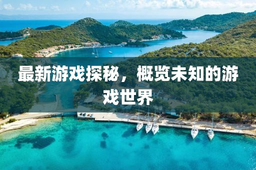 最新游戏探秘，概览未知的游戏世界