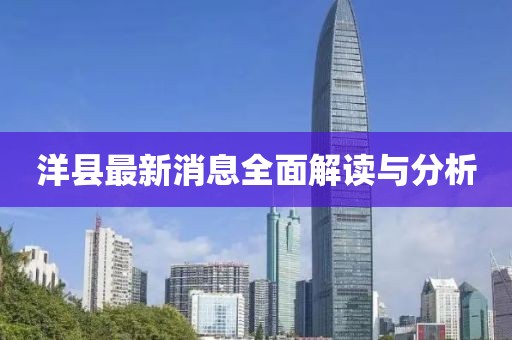 洋县最新消息全面解读与分析
