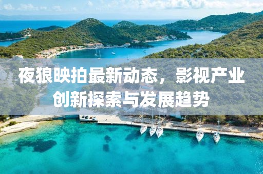 夜狼映拍最新动态，影视产业创新探索与发展趋势