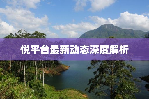 悦平台最新动态深度解析