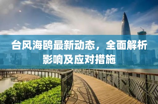 台风海鸥最新动态，全面解析影响及应对措施