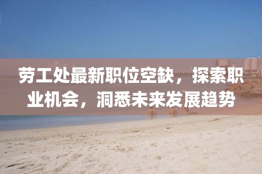 劳工处最新职位空缺，探索职业机会，洞悉未来发展趋势