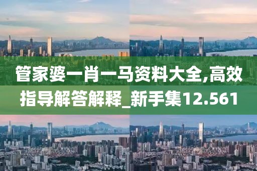 管家婆一肖一马资料大全,高效指导解答解释_新手集12.561