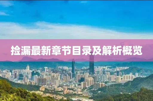 捡漏最新章节目录及解析概览