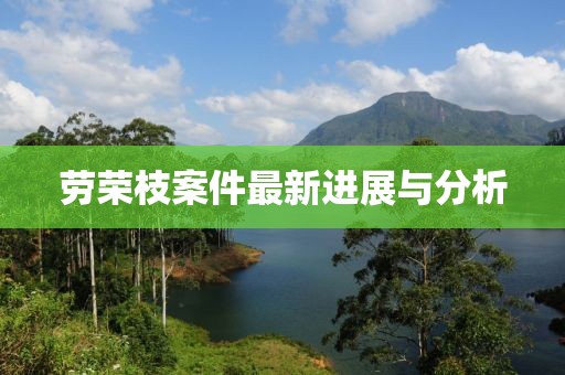 劳荣枝案件最新进展与分析