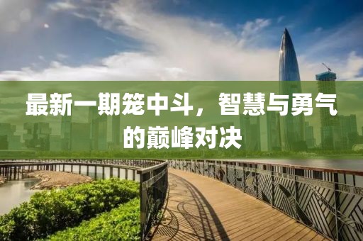 最新一期笼中斗，智慧与勇气的巅峰对决