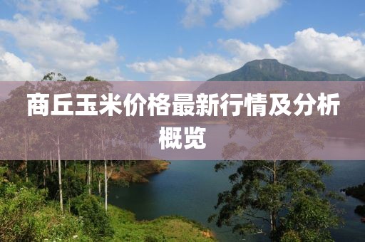 商丘玉米价格最新行情及分析概览