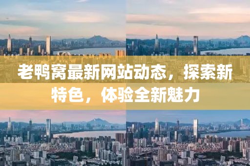 老鸭窝最新网站动态，探索新特色，体验全新魅力