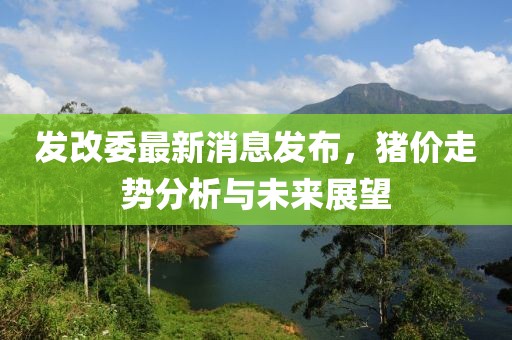 发改委最新消息发布，猪价走势分析与未来展望