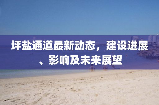 坪盐通道最新动态，建设进展、影响及未来展望