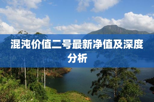 混沌价值二号最新净值及深度分析
