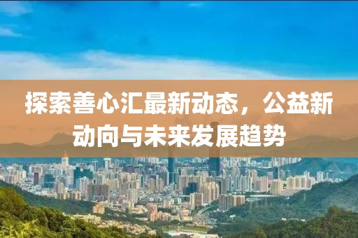 探索善心汇最新动态，公益新动向与未来发展趋势