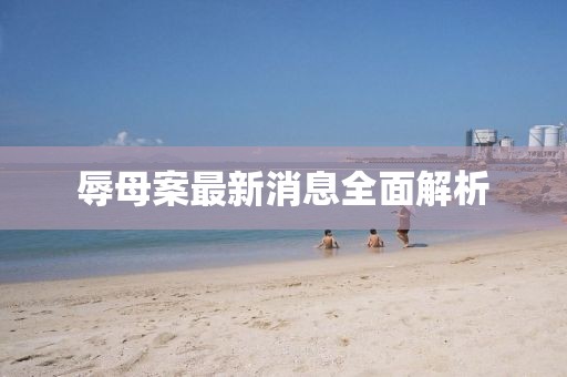 辱母案最新消息全面解析