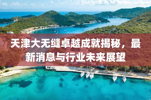 天津大无缝卓越成就揭秘，最新消息与行业未来展望
