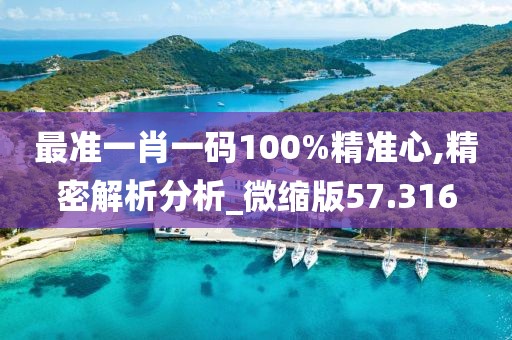 最准一肖一码100%精准心,精密解析分析_微缩版57.316