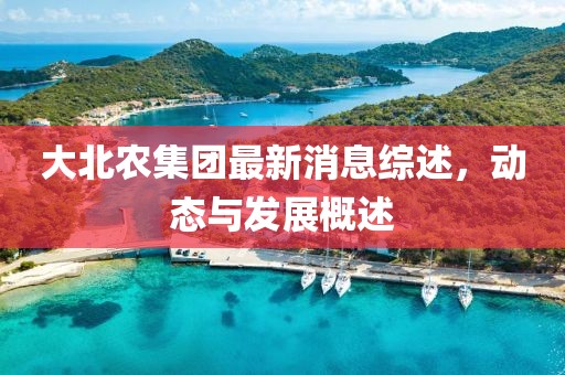 大北农集团最新消息综述，动态与发展概述
