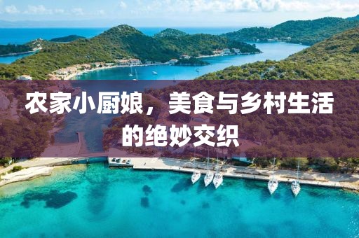 农家小厨娘，美食与乡村生活的绝妙交织