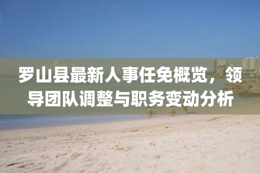 罗山县最新人事任免概览，领导团队调整与职务变动分析