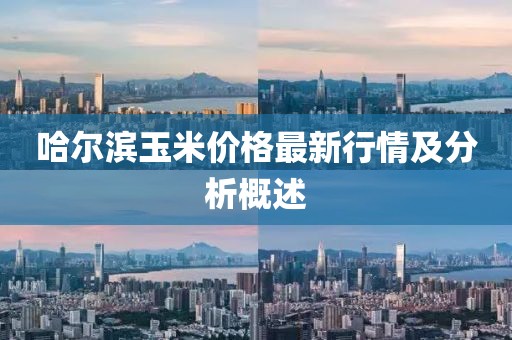 哈尔滨玉米价格最新行情及分析概述