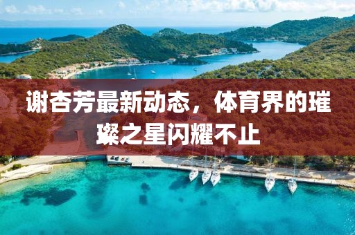 谢杏芳最新动态，体育界的璀璨之星闪耀不止