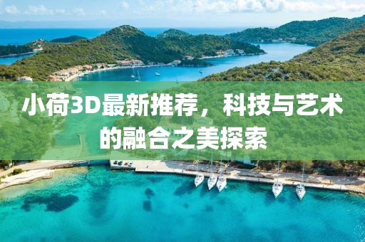 小荷3D最新推荐，科技与艺术的融合之美探索