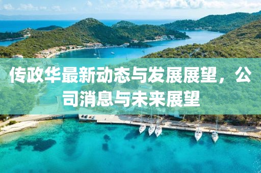 传政华最新动态与发展展望，公司消息与未来展望
