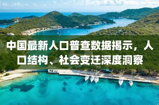 中国最新人口普查数据揭示，人口结构、社会变迁深度洞察