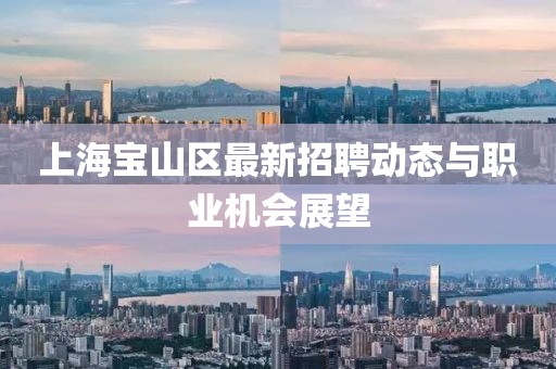 上海宝山区最新招聘动态与职业机会展望