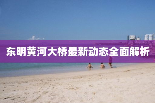 东明黄河大桥最新动态全面解析