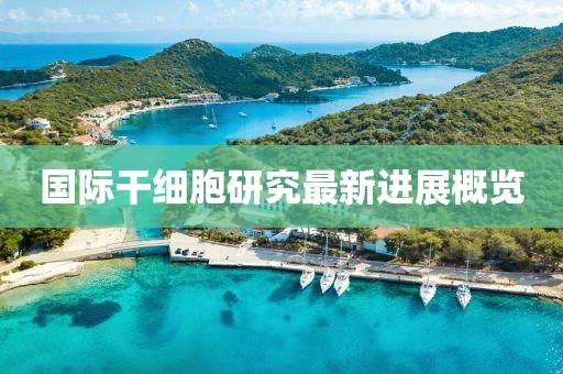 国际干细胞研究最新进展概览