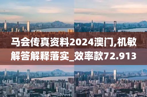 马会传真资料2024澳门,机敏解答解释落实_效率款72.913