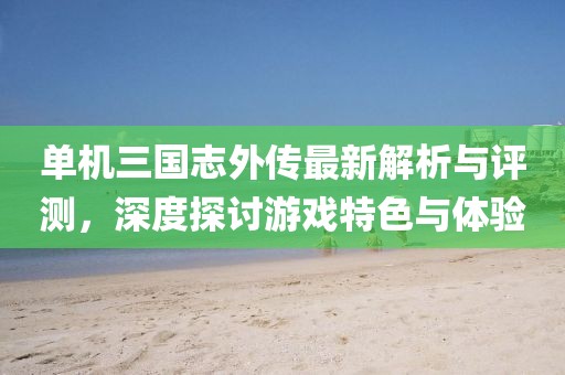 单机三国志外传最新解析与评测，深度探讨游戏特色与体验