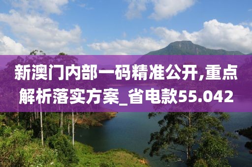 新澳门内部一码精准公开,重点解析落实方案_省电款55.042
