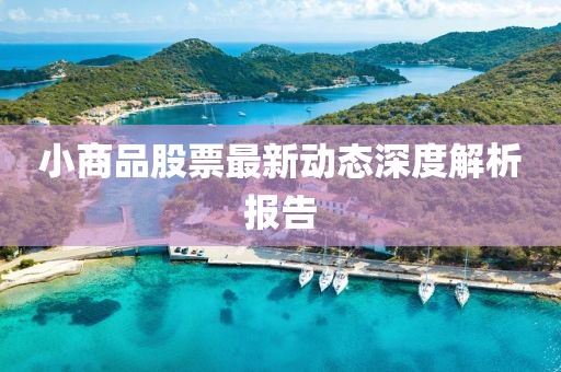 小商品股票最新动态深度解析报告