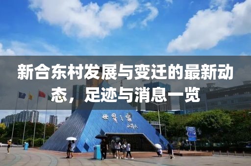 新合东村发展与变迁的最新动态，足迹与消息一览