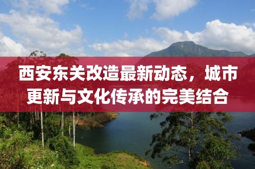 西安东关改造最新动态，城市更新与文化传承的完美结合