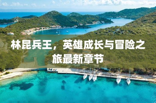 林昆兵王，英雄成长与冒险之旅最新章节