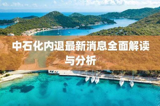中石化内退最新消息全面解读与分析