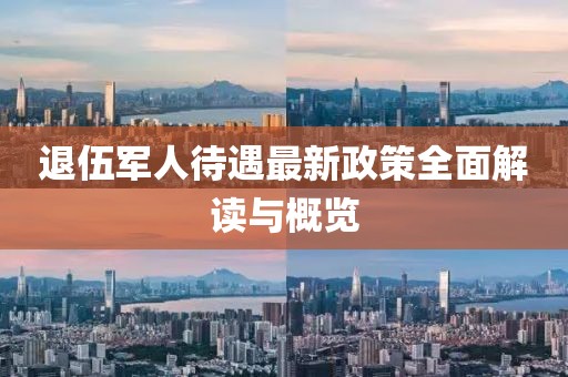 退伍军人待遇最新政策全面解读与概览