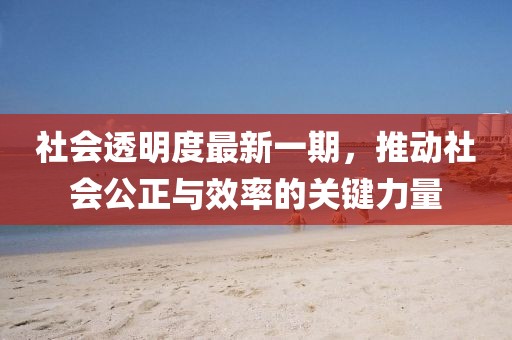 社会透明度最新一期，推动社会公正与效率的关键力量