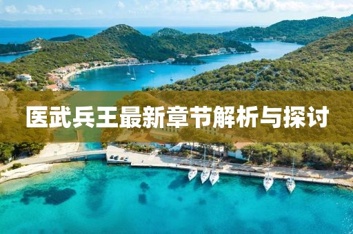 医武兵王最新章节解析与探讨