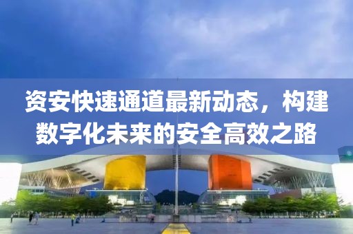 资安快速通道最新动态，构建数字化未来的安全高效之路