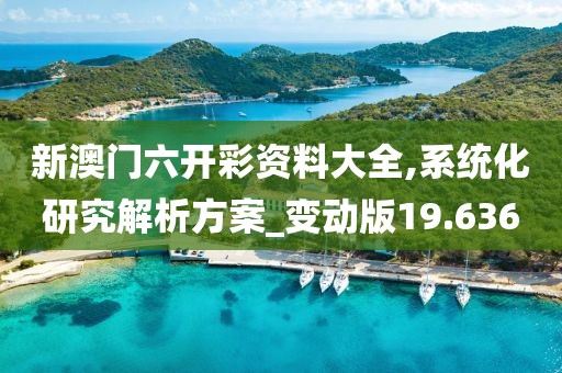 新澳门六开彩资料大全,系统化研究解析方案_变动版19.636
