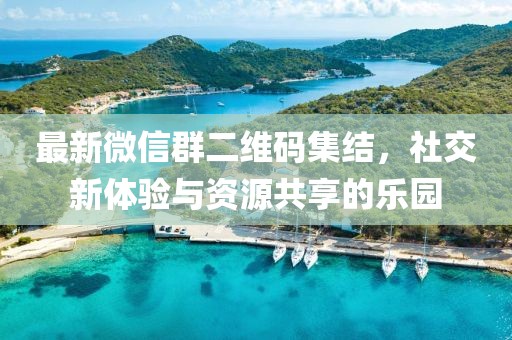 最新微信群二维码集结，社交新体验与资源共享的乐园