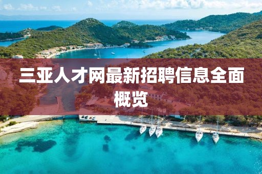 三亚人才网最新招聘信息全面概览