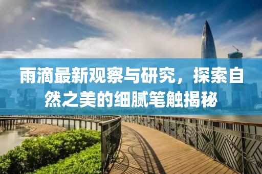 雨滴最新观察与研究，探索自然之美的细腻笔触揭秘