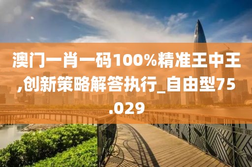 澳门一肖一码100%精准王中王,创新策略解答执行_自由型75.029
